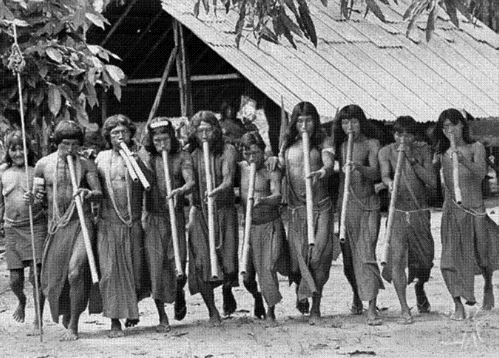 Ваямпи племя амазонки. Племя Гуарани. Индейцы Гуарани. Гуарани (группа народов).